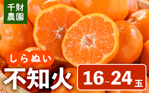 ＜先行予約受付中！2026年4月中旬より順次発送予定＞千財農園不知火(L～4L・16玉～24玉)みかん ミカン 蜜柑 しらぬい 柑橘 フルーツ 果物 くだもの 果実【109000301】【千財農園】