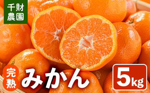 ＜先行予約受付中！2025年11月上旬から順次発送予定＞千財農園 みかん(約5kg)みかん ミカン 蜜柑 柑橘 フルーツ 果物 くだもの 果実【109000401】【千財農園】