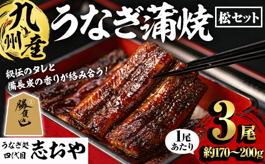 うなぎ処 四代目 志おや 九州産うなぎ 蒲焼(松・3本)うなぎ 鰻 ウナギ 国産 九州産 蒲焼き うな重 ひつまぶし タレ付き 勝負めし 【109400201】【志おや】