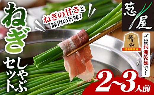 鉄板バル葱屋の ねぎしゃぶセット(2～3人前)ねぎしゃぶ しゃぶしゃぶ 豚肉 ぶた肉 ぶたにく お肉 鍋セット 乾麺 出汁 だし ポン酢 勝負めし【110700500】【葱屋おおくぼ】