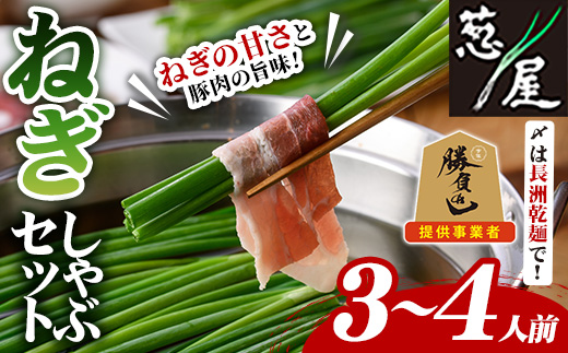 鉄板バル葱屋の ねぎしゃぶセット(3～4人前)ねぎしゃぶ しゃぶしゃぶ 豚肉 ぶた肉 ぶたにく お肉 鍋セット 乾麺 出汁 だし ポン酢 勝負めし【110700800】【葱屋おおくぼ】