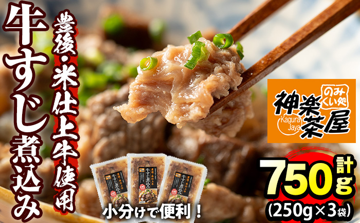 豊後米仕上げ牛 牛すじ煮込み(計750g・250g×3パック)牛肉 お肉 おかず おつまみ 小分け 簡単調理 時短 冷凍 惣菜【111100201】【神楽茶屋】