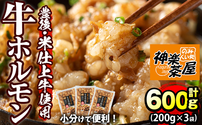 豊後米仕上げ牛 牛ホルモン炒め(計600g・200g×3パック)牛肉 お肉 小腸 おかず おつまみ 小分け 簡単調理 時短 惣菜【111100501】【神楽茶屋】