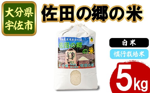 ＜新米・令和7年産＞佐田の郷の米 慣行栽培米(5kg) お米 白米 ごはん ヒノヒカリ ひのひかり ブランド米 常温 常温保存【111700104】【雅設置プロジェクト　佐田の郷の会】