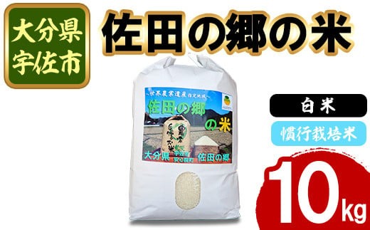 ＜新米・令和7年産＞佐田の郷の米 慣行栽培米(10kg) お米 白米 ごはん ヒノヒカリ ひのひかり ブランド米 常温 常温保存【111700204】【雅設置プロジェクト　佐田の郷の会】