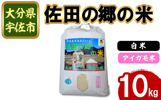 ＜新米・令和7年産＞佐田の郷の米 アイガモ米(10kg)お米 白米 ごはん ヒノヒカリ ひのひかり ブランド米 常温 常温保存【111700604】【雅設置プロジェクト　佐田の郷の会】