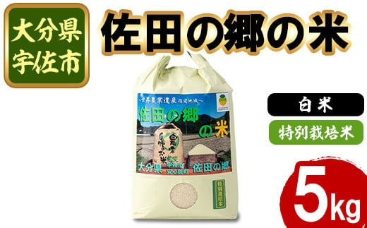 ＜新米・令和7年産＞佐田の郷の米 特別栽培米(5kg)お米 白米 ごはん ヒノヒカリ ひのひかり ブランド米 常温 常温保存【111700704】【雅設置プロジェクト　佐田の郷の会】