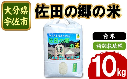 ＜新米・令和7年産＞佐田の郷の米 特別栽培米(10kg)お米 白米 ごはん ヒノヒカリ ひのひかり ブランド米 常温 常温保存【111700804】【雅設置プロジェクト　佐田の郷の会】