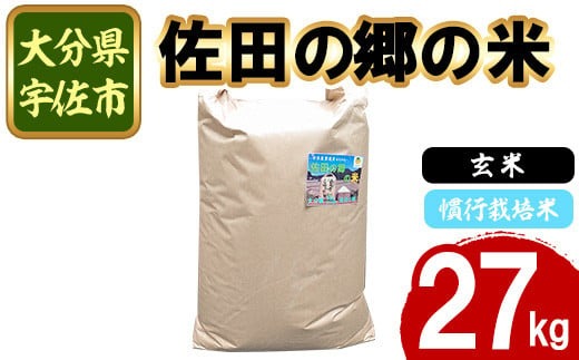 ＜令和7年産＞佐田の郷の米 玄米 慣行栽培米(27kg)お米 玄米 ごはん ヒノヒカリ ひのひかり ブランド米 常温 常温保存【111700903】【雅設置プロジェクト　佐田の郷の会】