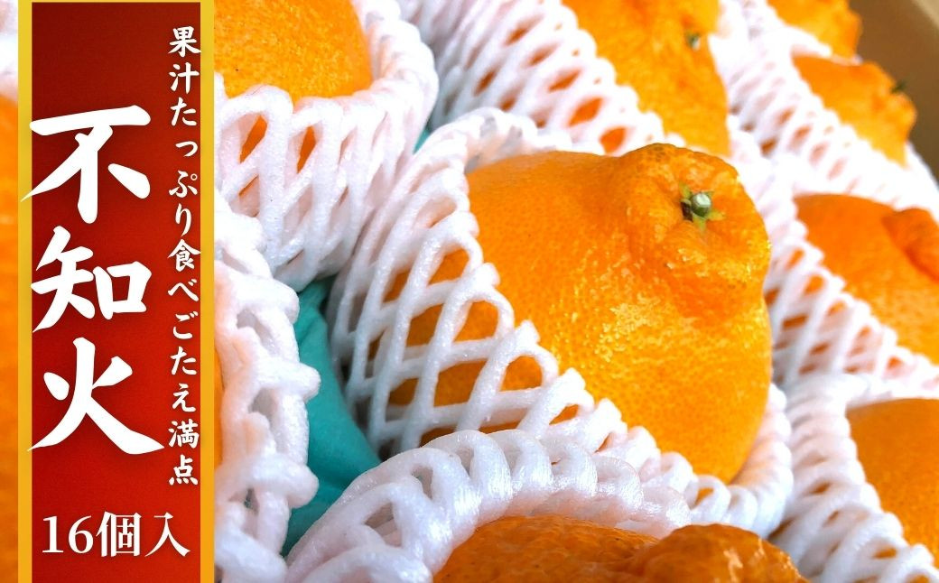 ＜先行予約受付中！2026年3月下旬以降順次発送予定＞不知火(16個・約4kg)みかん 蜜柑 フルーツ 果物 くだもの 柑橘 しらぬい 期間限定【112300601】【宮田園芸】