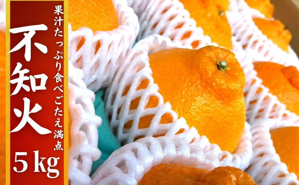 ＜先行予約受付中！2026年3月下旬以降順次発送予定＞不知火(5kg)みかん 蜜柑 フルーツ 果物 くだもの 柑橘 しらぬい 期間限定【112300701】【宮田園芸】