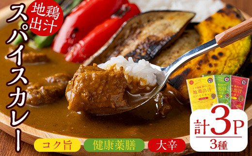 大分地鶏豊のしゃも地鶏出汁スパイスカレー3種セット(合計540g・180g×3パック)レトルト 簡単調理 ご当地カレー【112400201】【天峯ファーム】