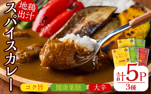 大分地鶏豊のしゃも地鶏出汁スパイスカレー(計900g・180g×5パック)レトルト 簡単調理 惣菜 時短 常温 ご当地カレー【112400301】【天峯ファーム】