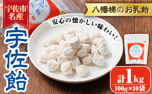 宇佐飴(計1kg・100g×10袋)あめ お菓子 おかし おやつ【112800201】【岡部商事】