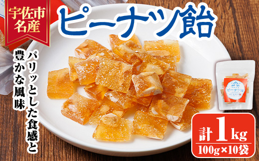 ピーナツ飴(計1kg・100g×10袋) ピーナッツ あめ お菓子 おかし おやつ 落花生 【112800401】【岡部商事】
