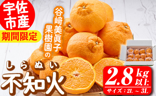 ＜先行予約受付中！2026年3月上旬～4月上旬の間に発送予定＞不知火(2L～3L・2.8kg～)みかん フルーツ しらぬい 柑橘 ミカン【113300300】【谷崎美眞子果樹園】