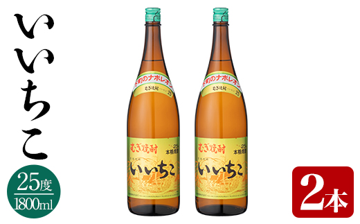 いいちこ ビン 25度(1800ml×2本)【114002000】【一般社団法人　地域商社USA】
