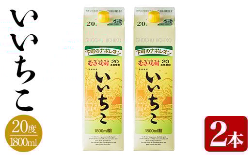 いいちこ パック 20度(1800ml×2本)酒 お酒 焼酎 麦焼酎 アルコール 紙パック 三和酒類【114003101】【一般社団法人　地域商社USA】