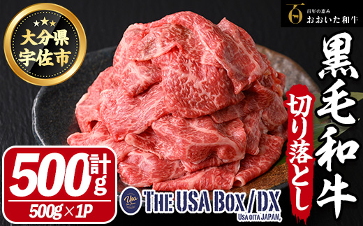 おおいた和牛 切り落とし THE USA Box/DX(500g×1P) 牛肉 黒毛和牛 A4 お肉【114003900】【一般社団法人　地域商社USA】