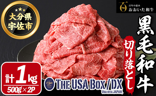 おおいた和牛 切り落とし THE USA Box/DX(500g×2P) 牛肉 黒毛和牛 A4 お肉【114004301】【一般社団法人　地域商社USA】