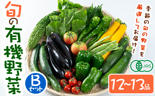 旬の有機野菜セットB(10～12品目)やさい 詰合せ 詰め合わせ 季節 おまかせ お楽しみ【114500201】【さとう有機農園】