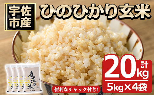 ＜先行予約受付中！2025年11月中旬以降順次発送予定＞＜令和7年産・新米＞ひのひかり 玄米(計20kg)お米 20キロ ヒノヒカリ 真空パック 真空包装 【114900600】【祥田産業】