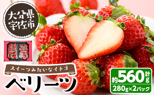 ＜先行予約受付中！2026年1月下旬～3月中旬に順次発送予定＞＜数量限定＞ベリーツ いちご (計約560g・280g×2パック) 苺 イチゴ フルーツ 果物 くだもの 果実 ベリーツ【115800300】【大分中央農産】