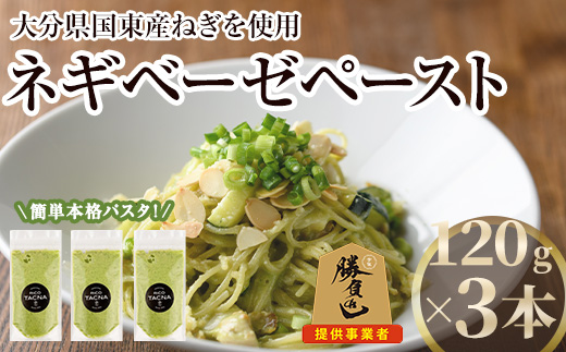 ネギベーゼ(3本) ネギ ねぎ 葱 調味料 薬味 ペースト 勝負めし 【116900100】【リーコタクナ】