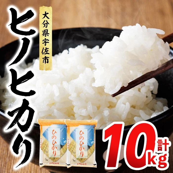 ヒノヒカリ 白米 (計10kg) お米 ごはん ご飯 ひのひかり 数量限定 【117800201】【ジョイライス大分】