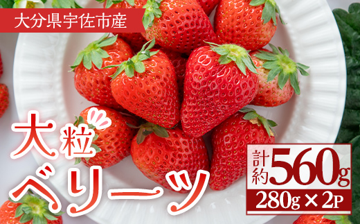 ＜2026年1月上旬～3月下旬の間に発送予定＞大粒いちご(計約560g・280g×2P)苺 イチゴ フルーツ 果物 くだもの 果実 ベリーツ 大粒【117900400】【Farm U.S.A.】