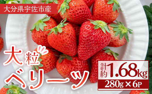 ＜2026年1月上旬～3月下旬の間に発送予定＞大粒いちご(計約1.68kg・280g×6P)苺 イチゴ フルーツ 果物 くだもの 果実 ベリーツ 大粒【117900600】【Farm U.S.A.】