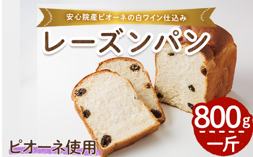 ピオーネ白ワイン仕込みパン(一斤・800g) パン 朝ごはん 朝食 おやつ レーズンパン 干しブドウ ピオーネ【118000100】【オーマイパン】