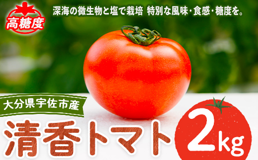＜先行予約受付中！4月上旬以降順次発送予定＞清香トマト(2kg)トマト 高糖度 フルーツトマト 野菜【118800200】【ヘリックス】