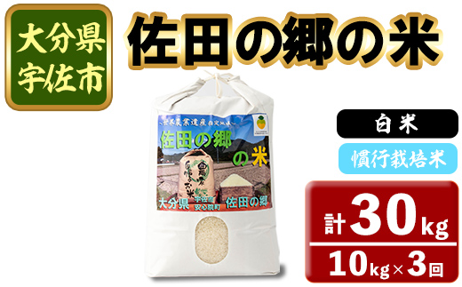 ＜令和7年産＞＜定期便・総３回＞佐田の郷の米 慣行栽培米(計30kg) お米 白米 ごはん ヒノヒカリ ひのひかり ブランド米 常温 常温保存【211700300】【雅設置プロジェクト　佐田の郷の会】