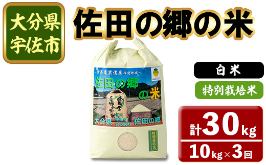 ＜定期便・総３回＞＜令和7年産＞佐田の郷の米 特別栽培米(計30kg)お米 白米 ごはん ヒノヒカリ ひのひかり ブランド米 常温 常温保存【211700800】【雅設置プロジェクト　佐田の郷の会】