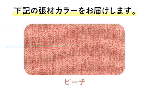 ライオン有限会社 ワークチェアー エビータ ( 2436WF-K )