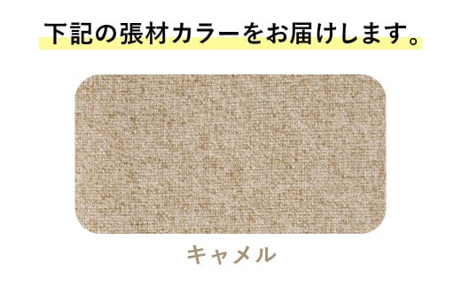 ライオン有限会社 ワークチェアー エビータ ( 2436WF-K )