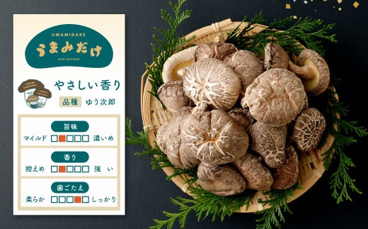 豊後大野市産 進物 どんこ 200g