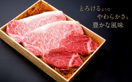 サーロイン 2枚 ヒレ 2枚 ステーキ 計4枚 620g