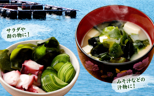 九州産 カット 乾燥わかめ 20g×7袋 計140g