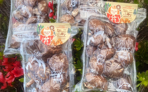 小町のどんこ詰め合せ どんこ椎茸 45g×4パック