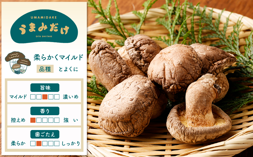 うまみだけ 食べくらべセット 40g×8袋 計320g