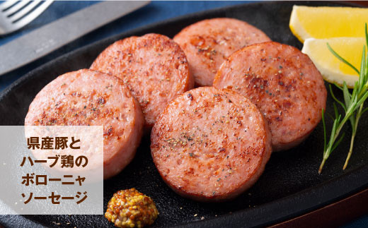 おおいた 味力 ソーセージ セット 2.28kg ベーコン