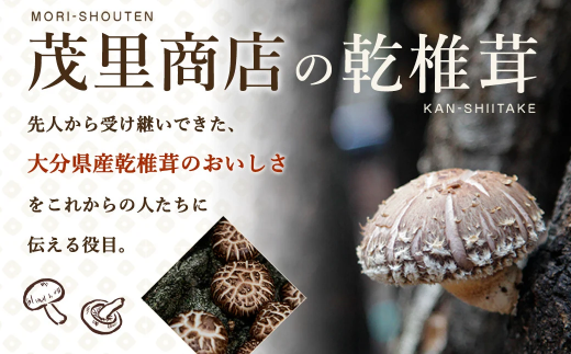 015-1185x1 山盛り 不揃い 椎茸 500g 訳あり 乾燥椎茸 きのこ 茸