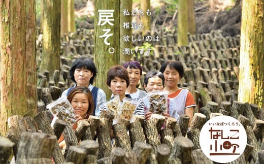 小町のどんこ詰め合せ どんこ椎茸 45g×4パック