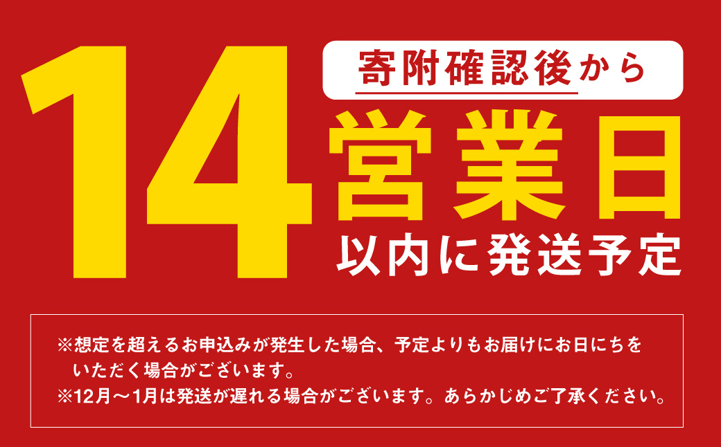 015-1185x1 【入金確認後14日以内に発送】 山盛り 不揃い 椎茸 500g 訳あり 乾燥椎茸 きのこ 茸