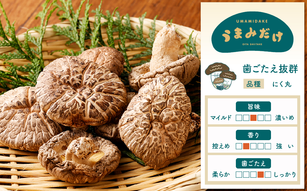 うまみだけ 食べくらべセット 40g×8袋 計320g