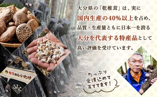 015-1185x1 山盛り 不揃い 椎茸 500g 訳あり 乾燥椎茸 きのこ 茸