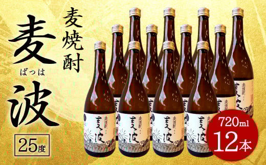 麦焼酎 麦波 ばっは 720ml 12本 セット 25度