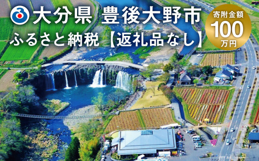 豊後大野市への寄付（返礼品はありません）1口 100万円